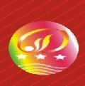 2009第五屆山西城市照明LED霓虹燈展覽會